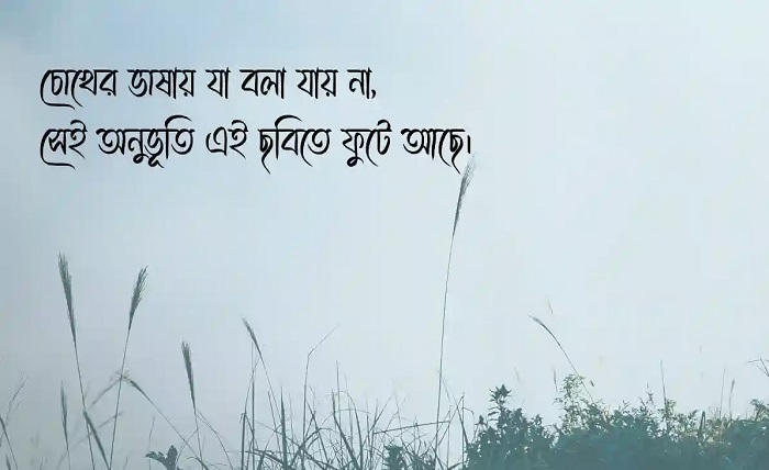 ক্যাপশন